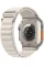Apple Watch Ultra 49mm Titanium Case with Starlight Alpine Loop Large